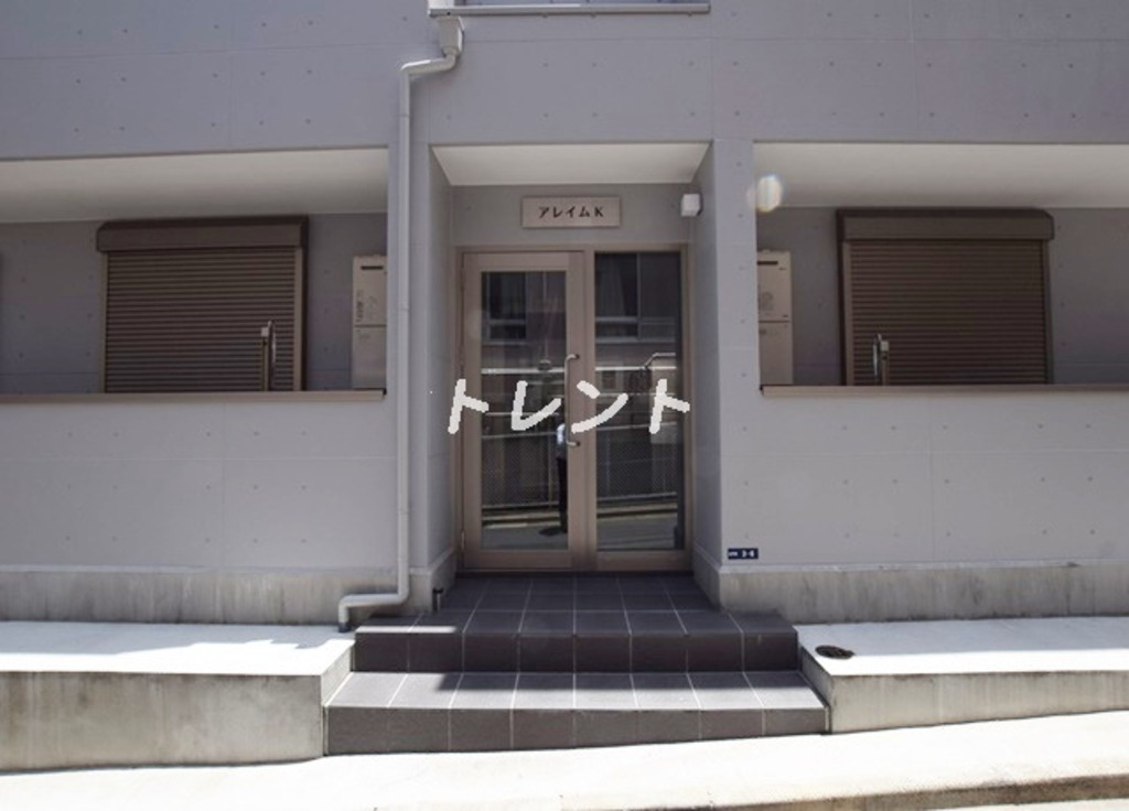 アレイムK-301