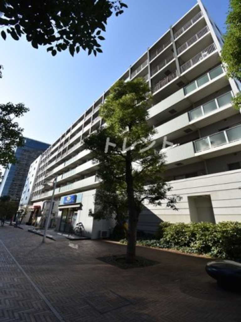 エスティメゾン豊洲レジデンス-C1107