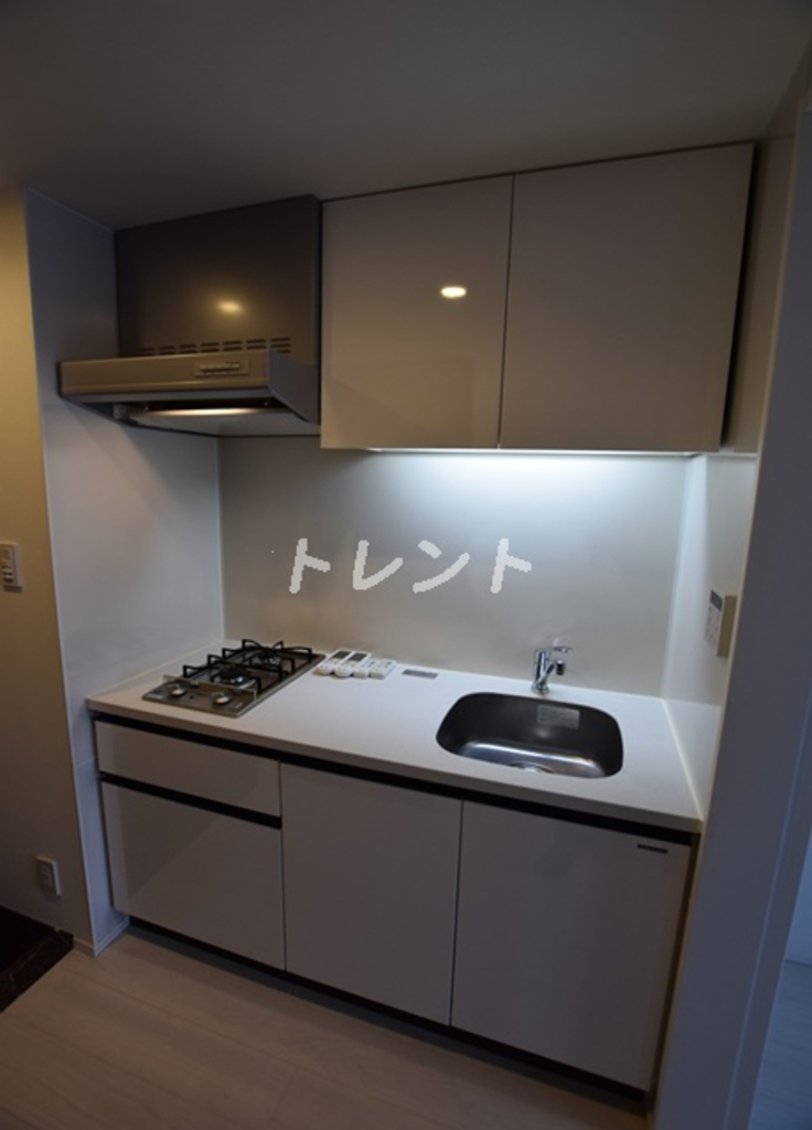 セレニティー神田-1003