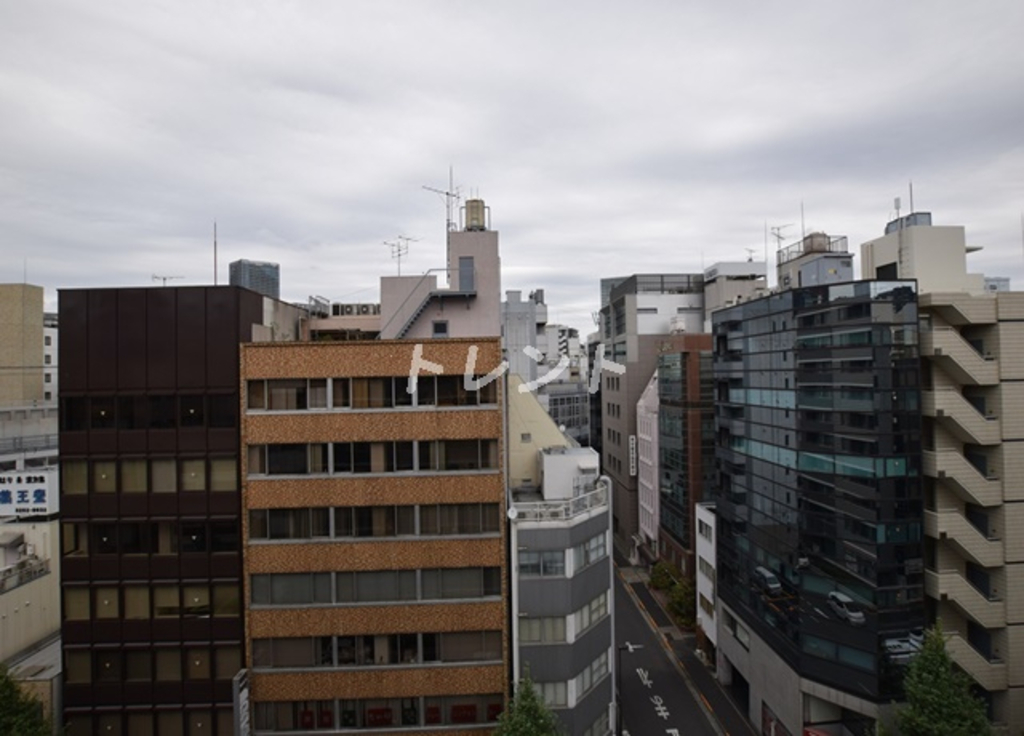 セレニティー神田-1003