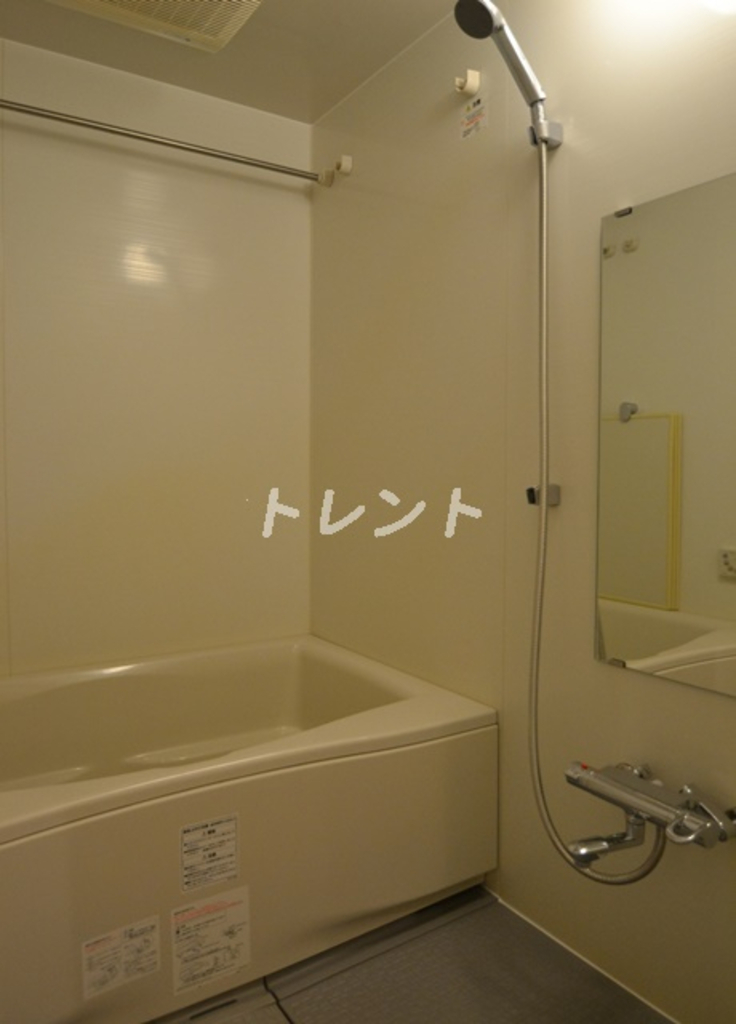 エスティメゾン東新宿-303