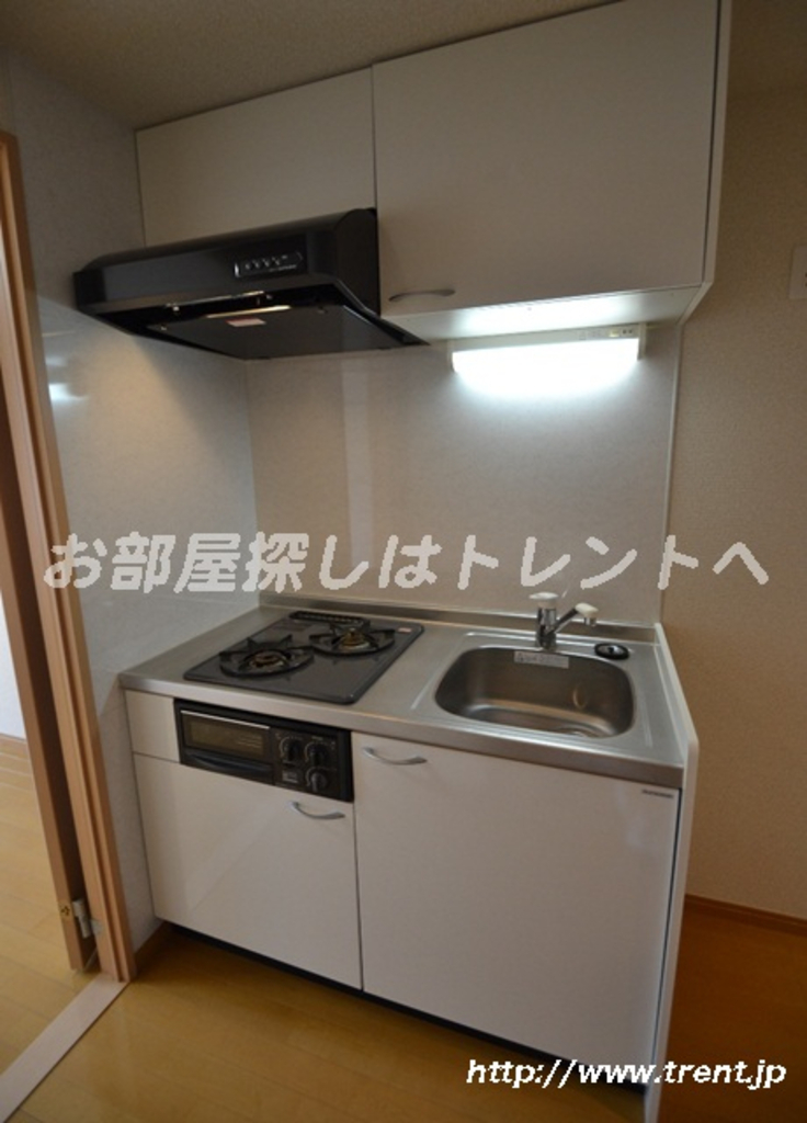 ドルフィン西新宿-301