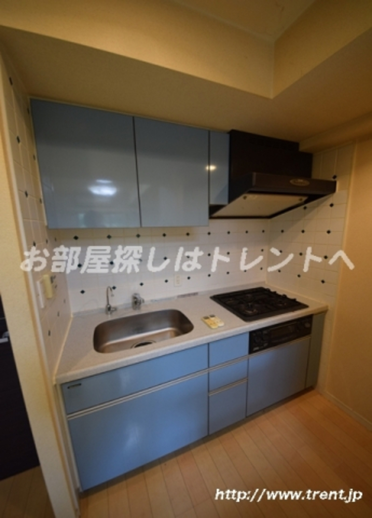 ラヴェンナ文京富坂-301