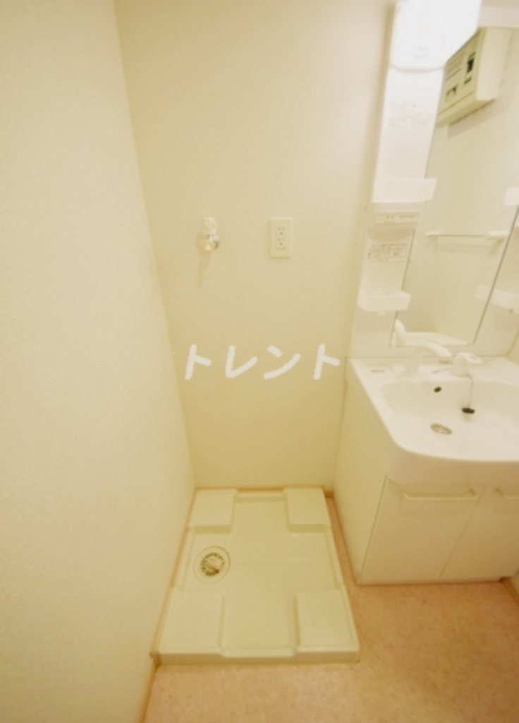 エバーグリーン-102