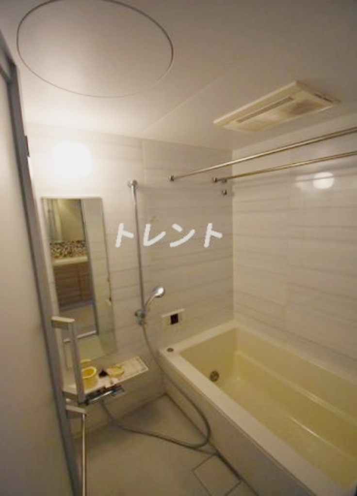ワンルーフフラット月島-704