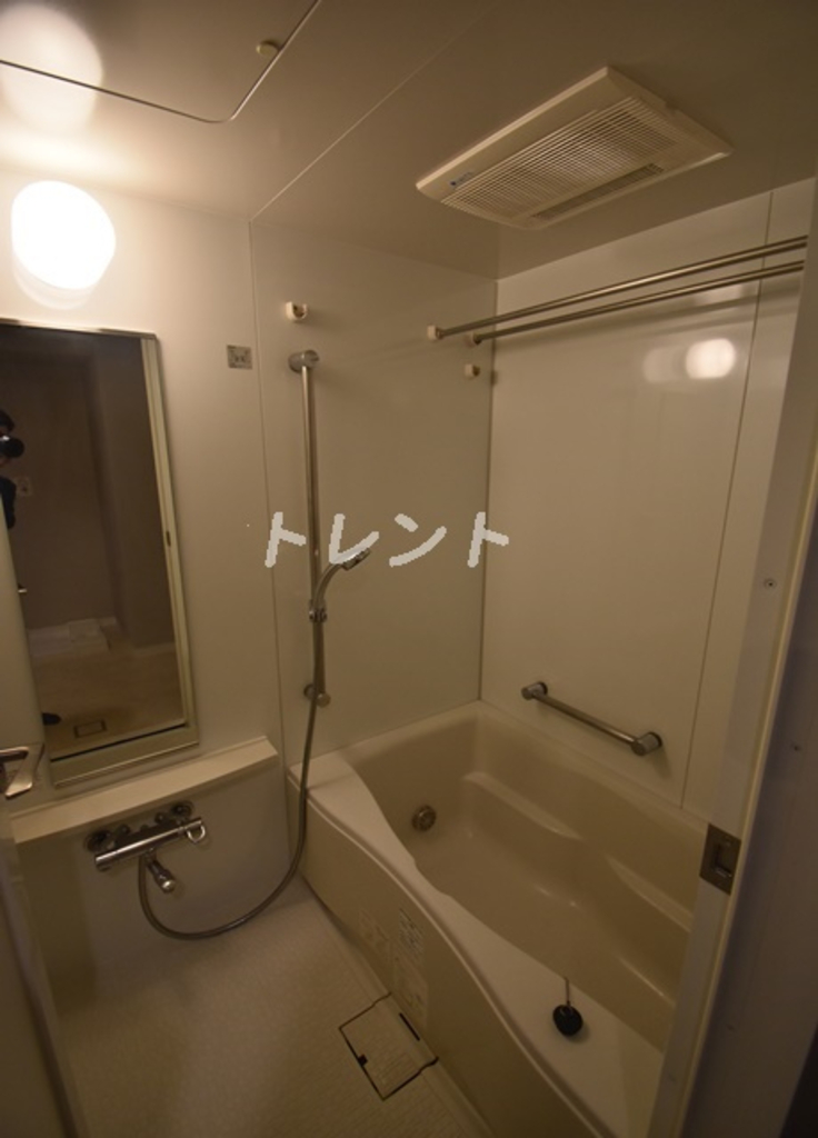 ザトーキョータワーズミッドタワー-1716