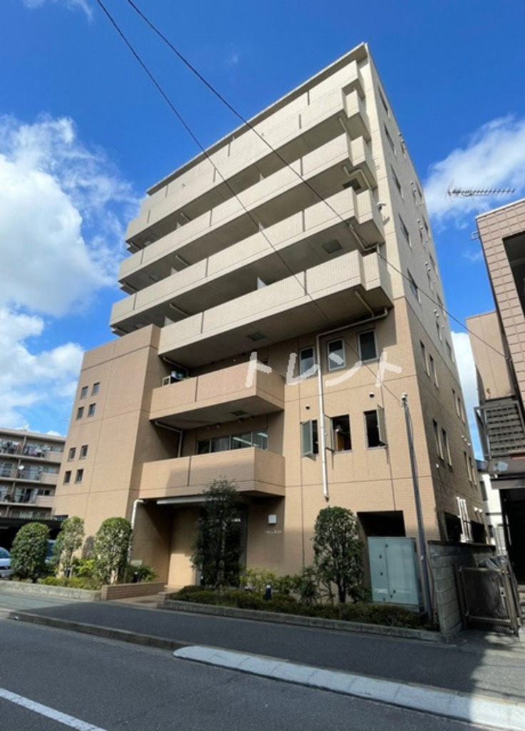 ベルジュ弥生町-703