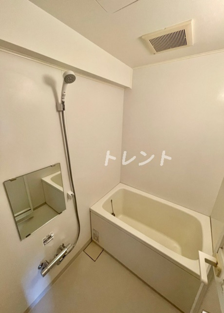 ベルジュ弥生町-703