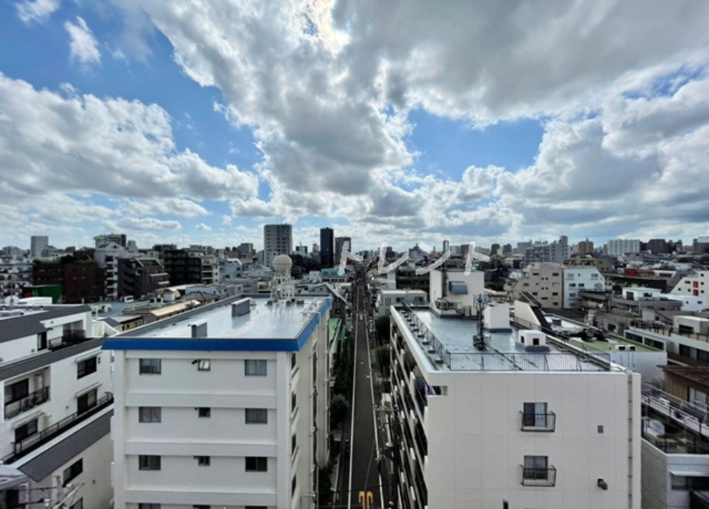 ベルジュ弥生町-703