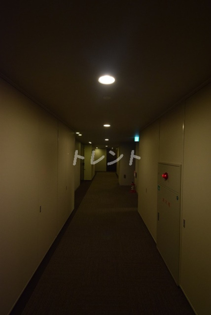 ルネ神田和泉町-304