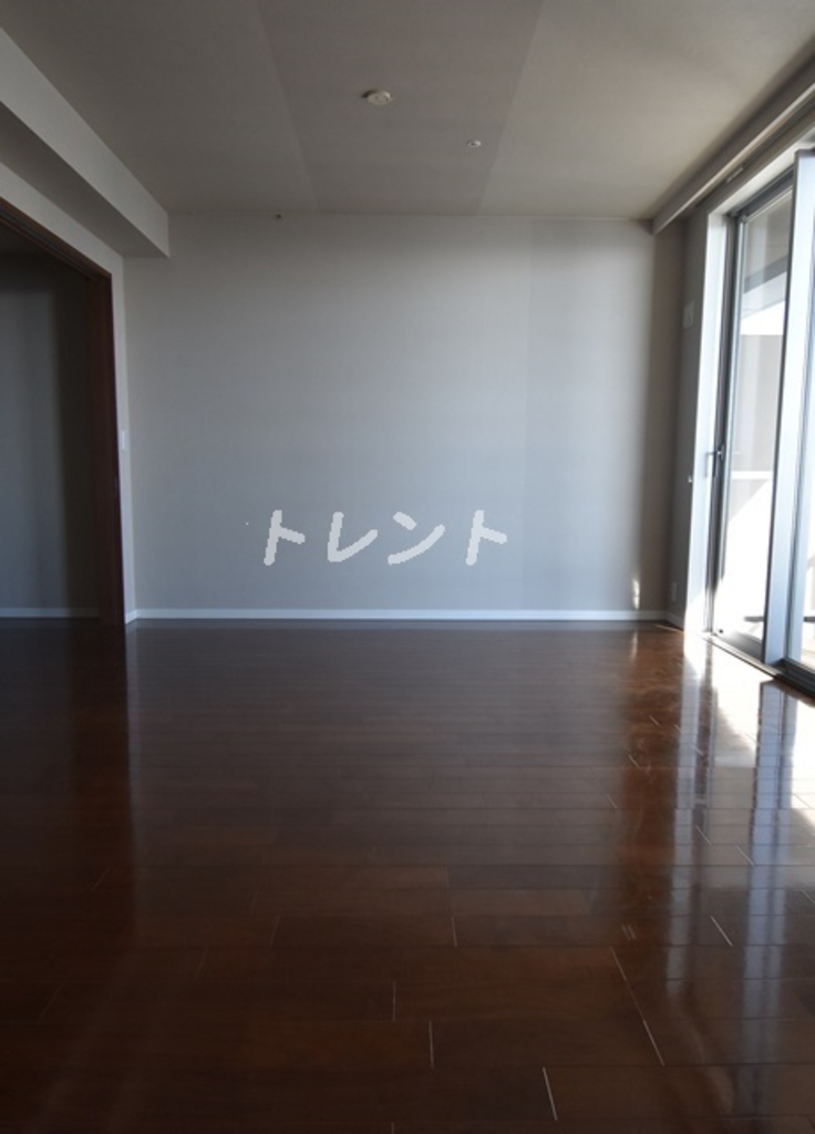 ザトーキョータワーズミッドタワー-1132