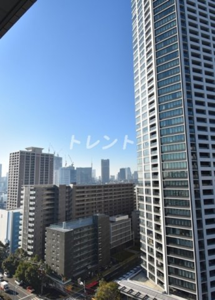 ザトーキョータワーズミッドタワー-3019