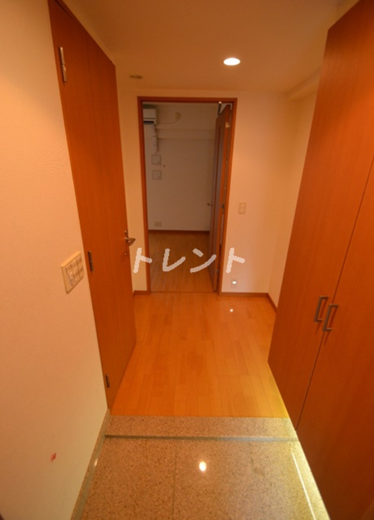 アゼリアテラス新宿-707