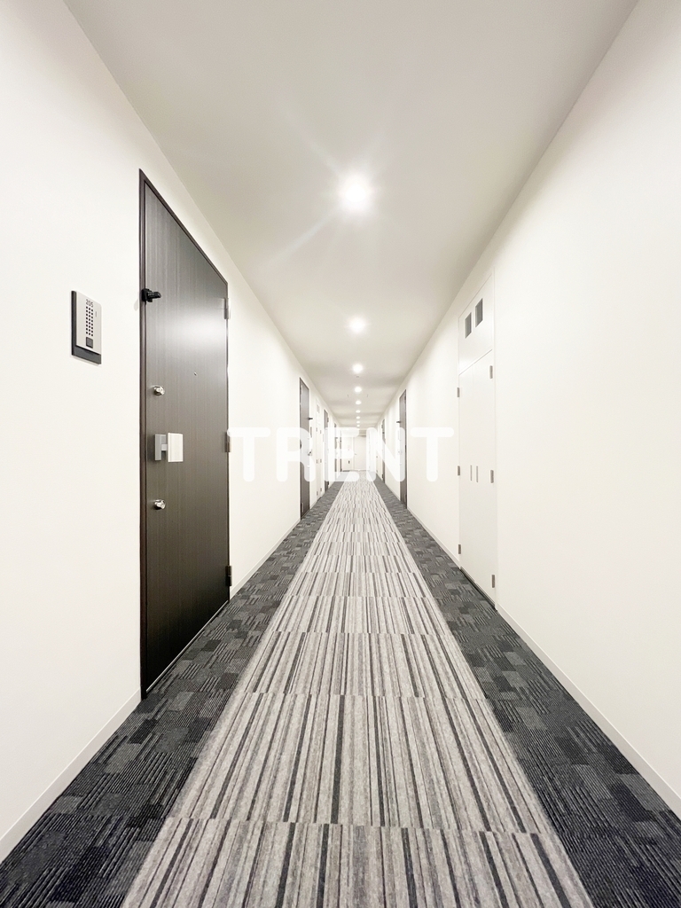 テラスミーレ文京弥生-301