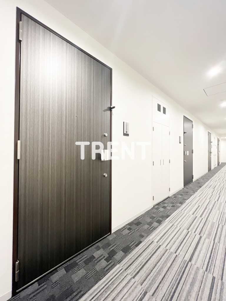 テラスミーレ文京弥生-301