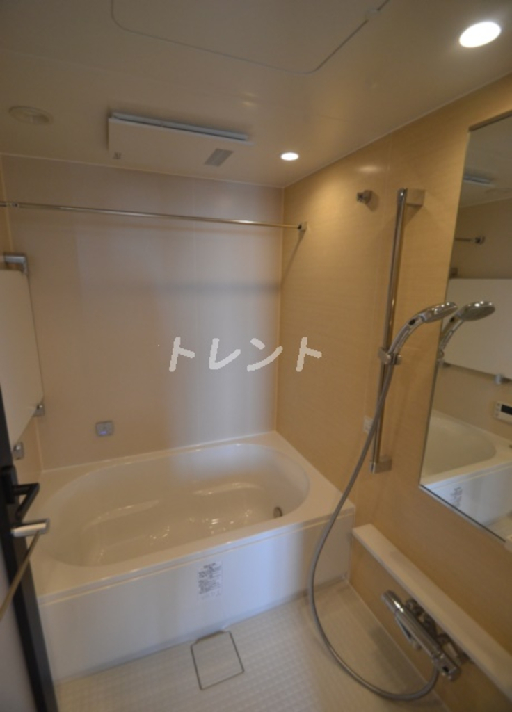 市谷仲之町ビューアパートメント-1103
