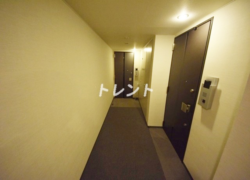 コスモリード市ヶ谷払方町-401
