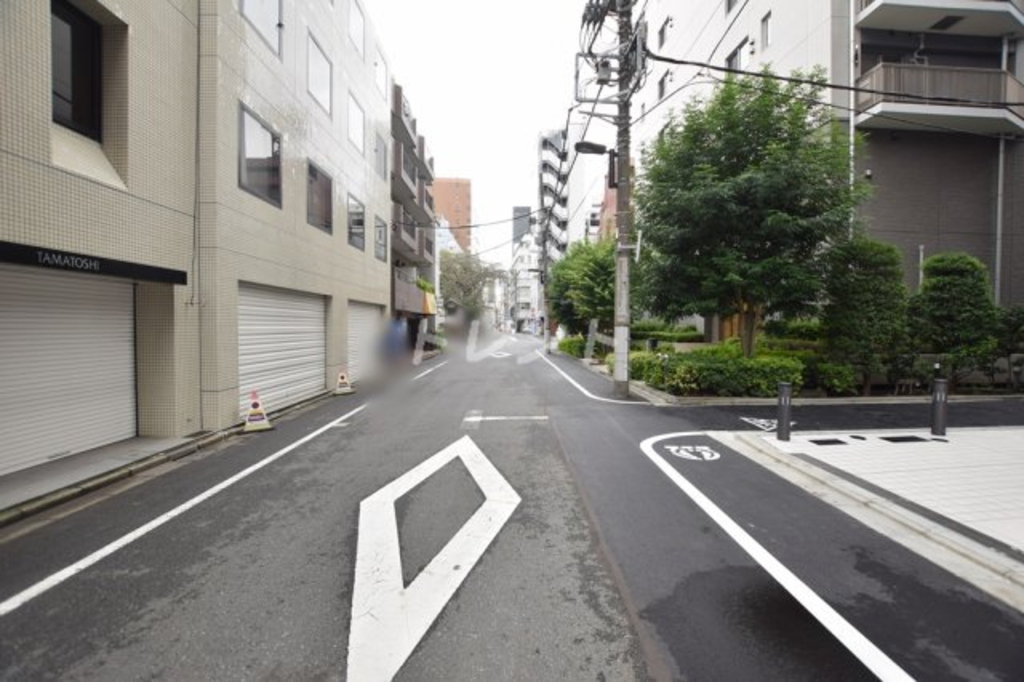 エスレジデンス神田アバンス【S-RESIDENCE神田avance】-1202