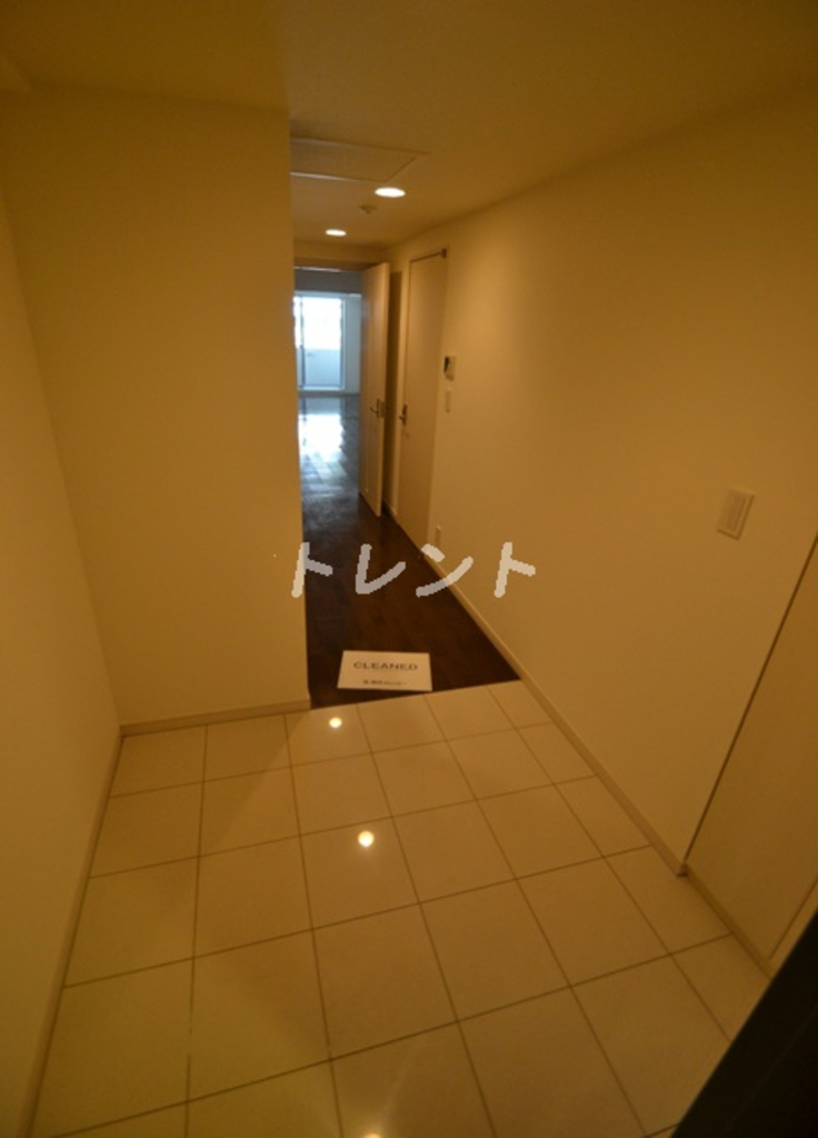 エスティメゾン東新宿-304