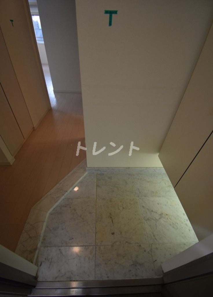 グランスイート銀座レスティモナーク-1308
