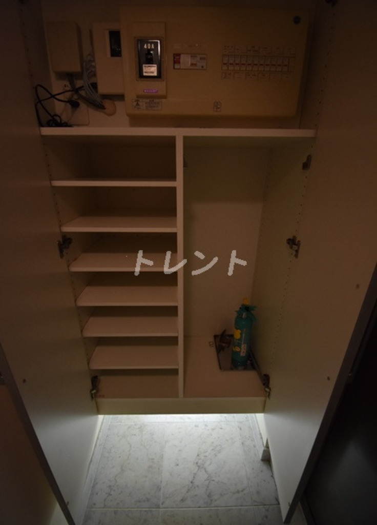グランスイート銀座レスティモナーク-1308