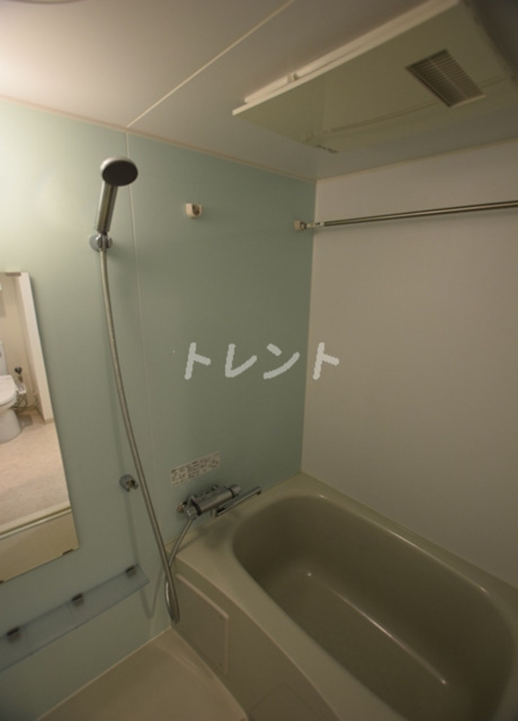 アイルイムーブル御茶ノ水-301