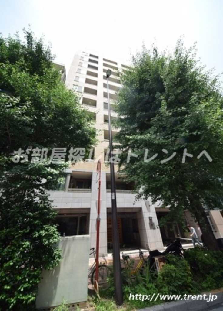 アクシルコート御茶ノ水-404