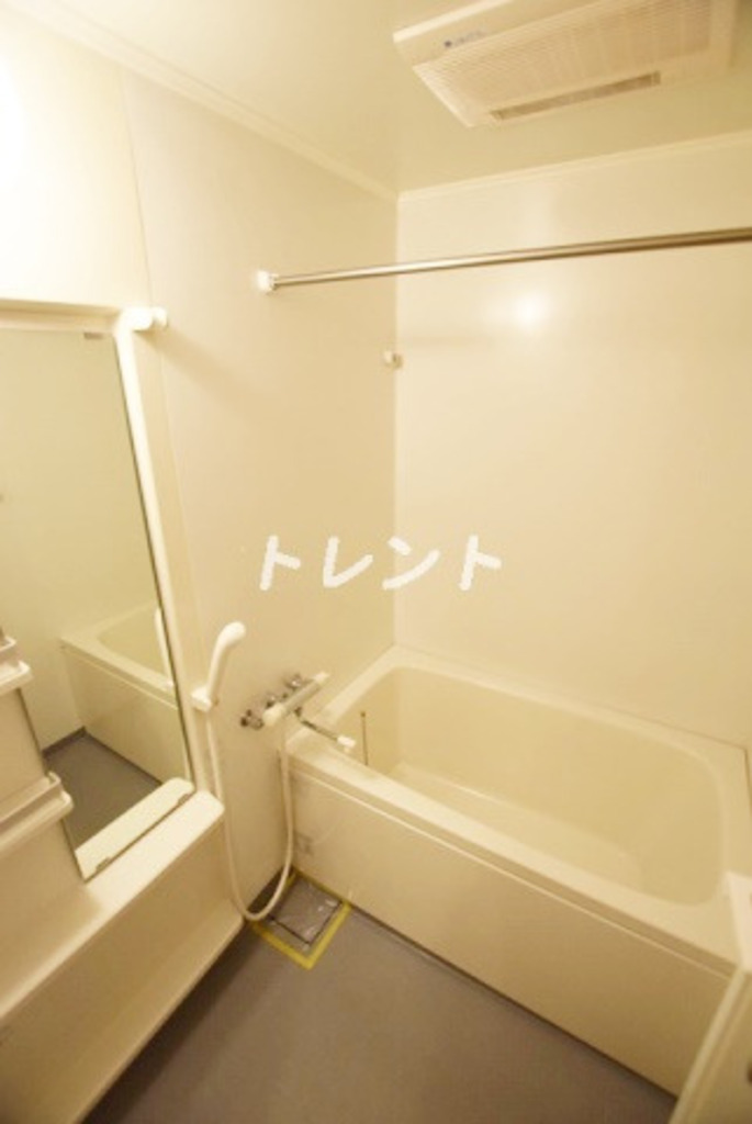 カーサデルソル小石川-502
