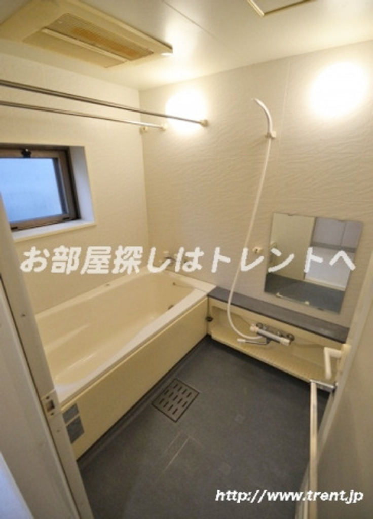 クレッセント新宿柏木-301