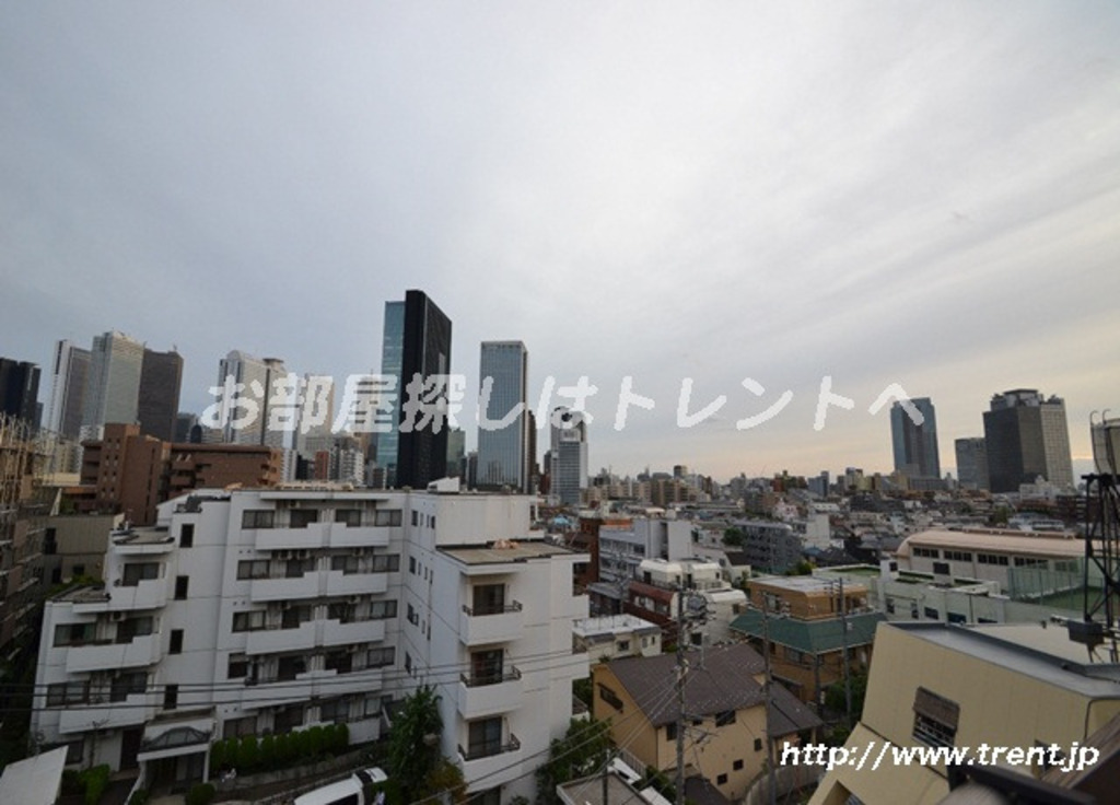 クレッセント新宿柏木-301