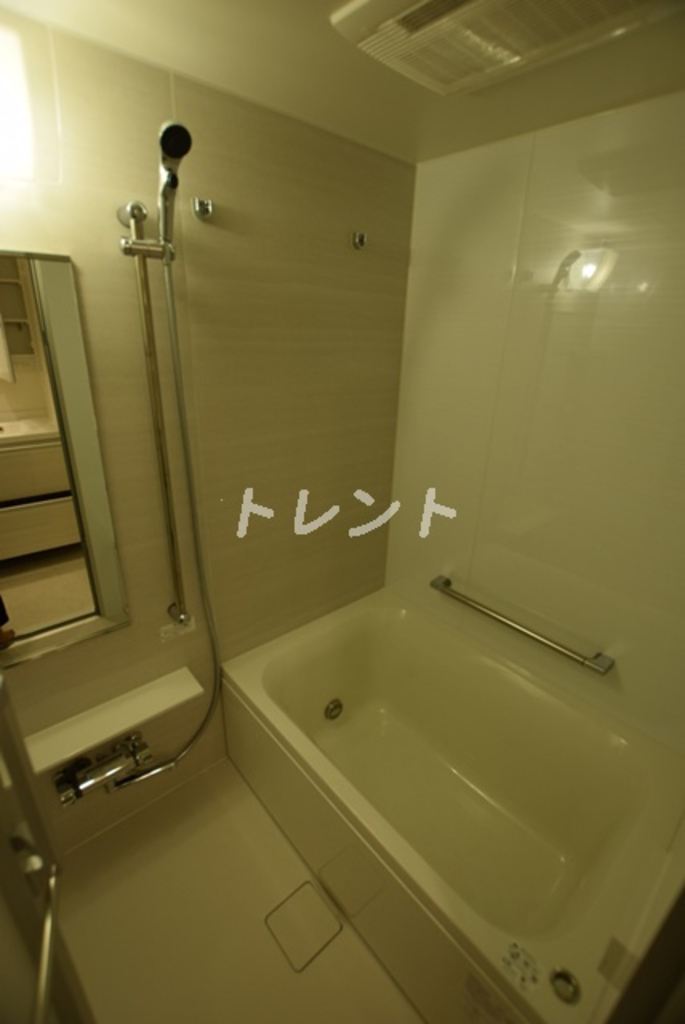 パークアクシス日本橋浜町レジデンス-704