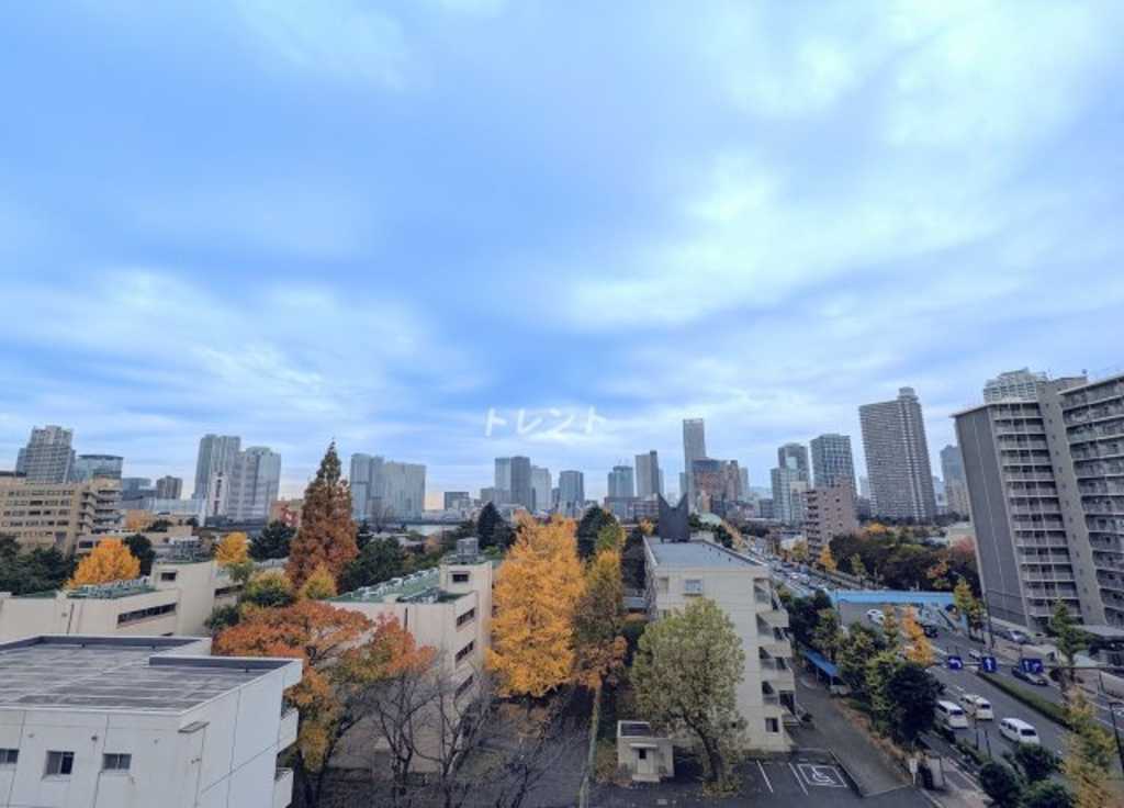 JPnoie門前仲町【ジェーピーノイエ門前仲町】-502