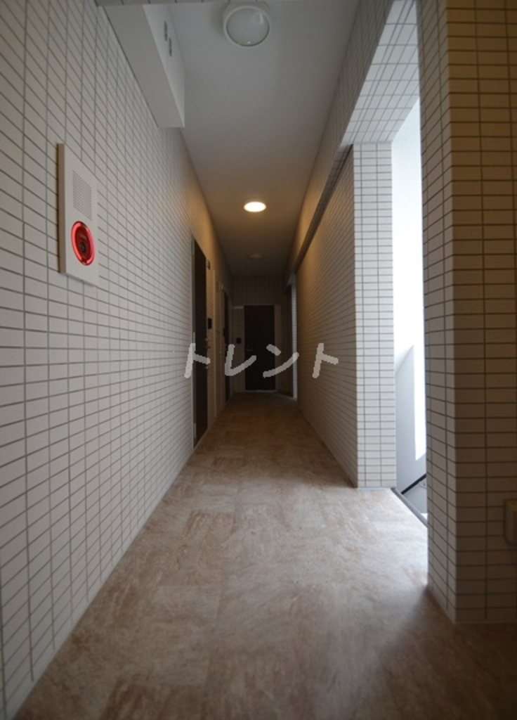ステラフォート-203
