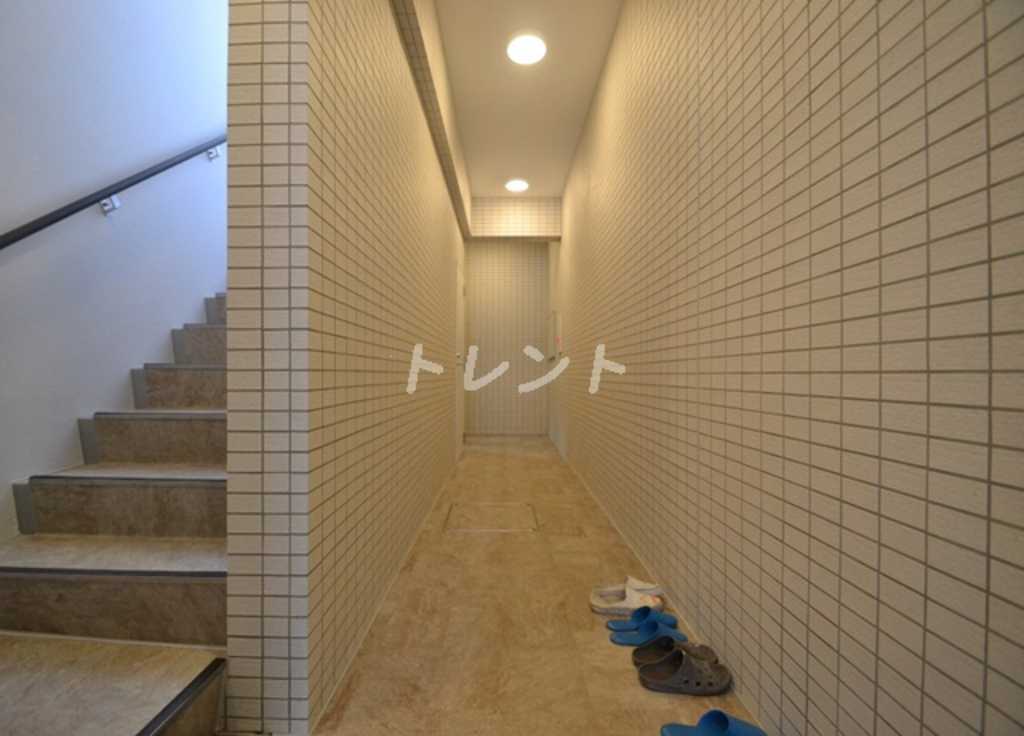 ステラフォート-203