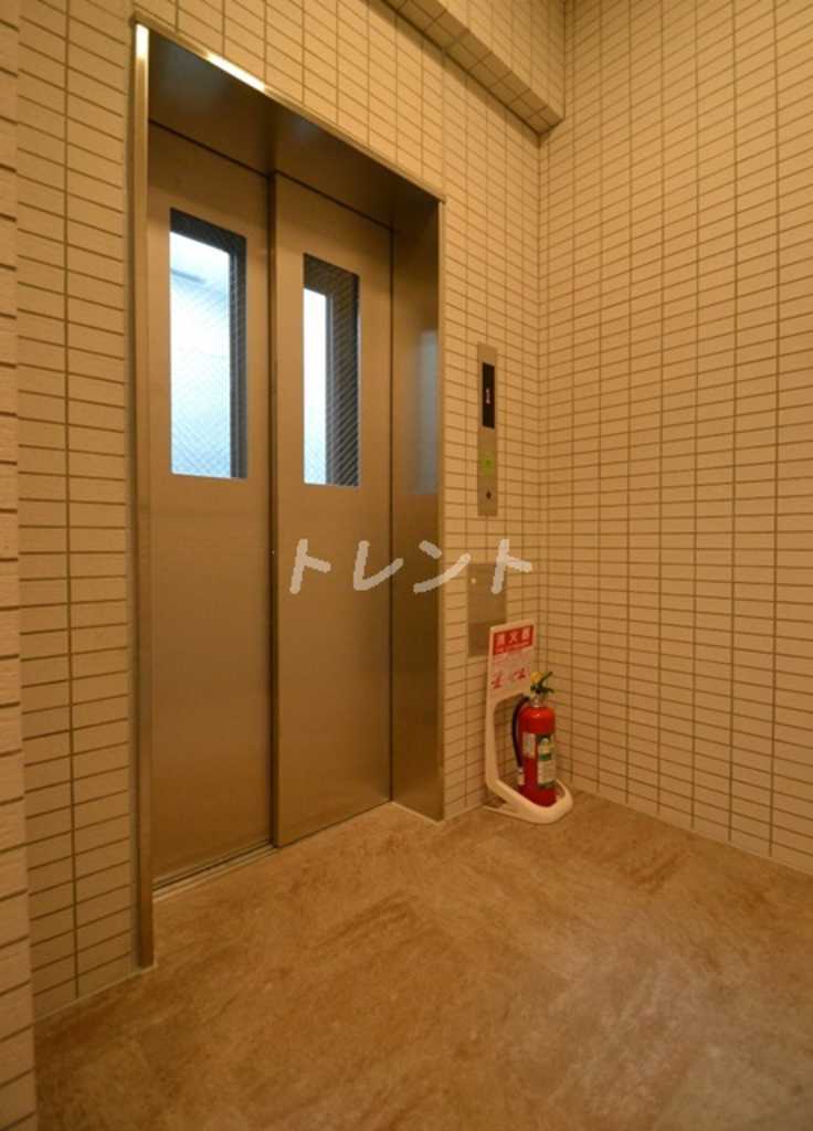 ステラフォート-203