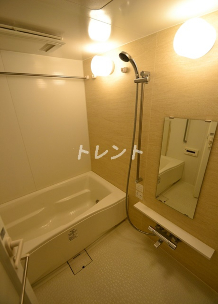 ブレス中野弥生町【BLESS中野弥生町】-411