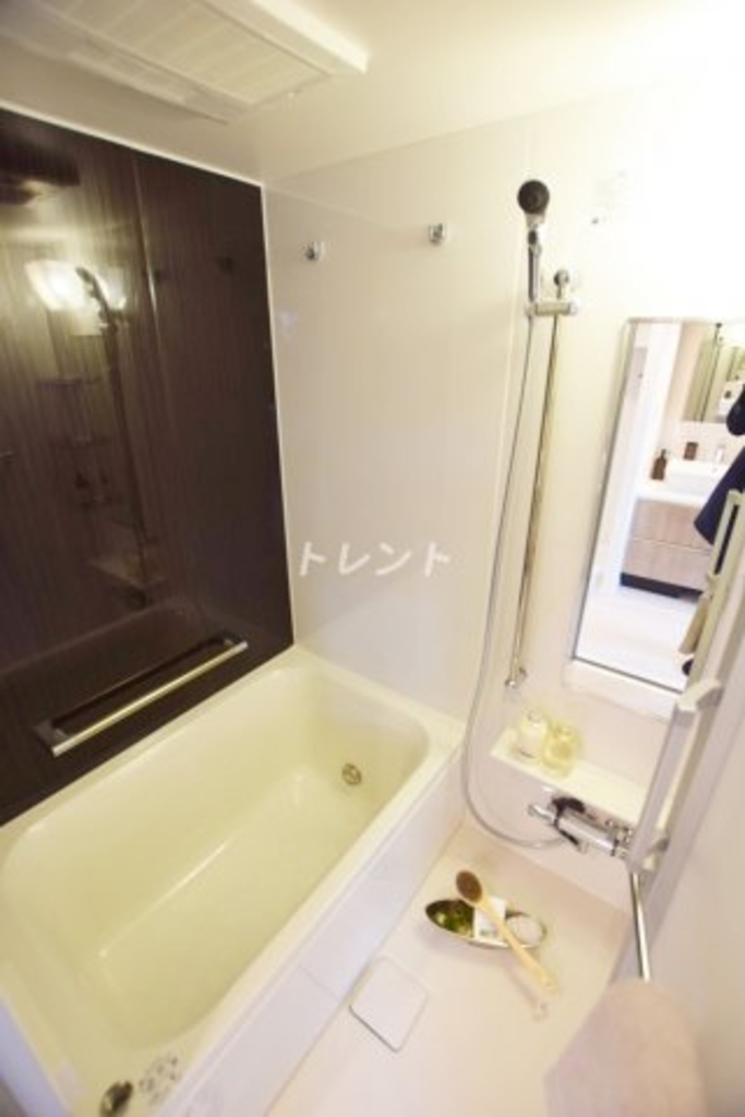 パークアクシス飯田橋レジデンス-203