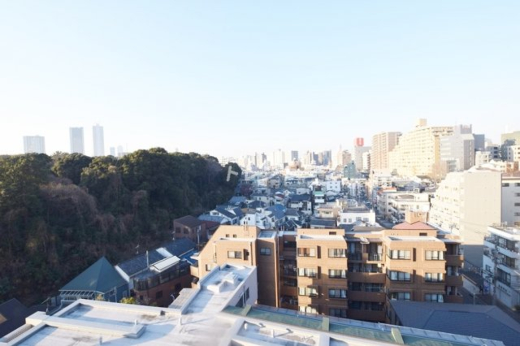 テレジャンデール護国寺WEST-201
