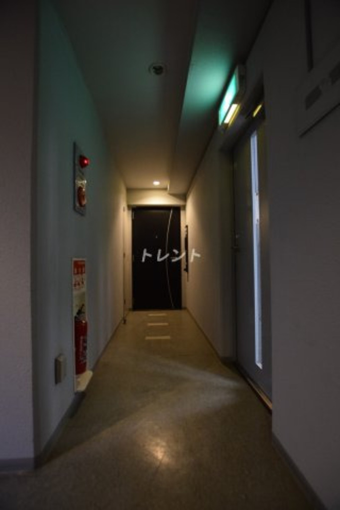 麹町レジデンス-302
