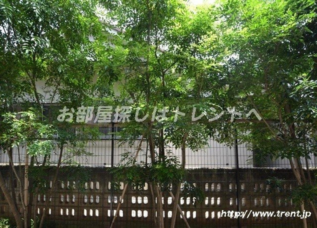 プラムコート東中野-205