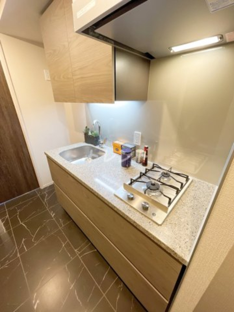 ザパークハビオ小石川-503