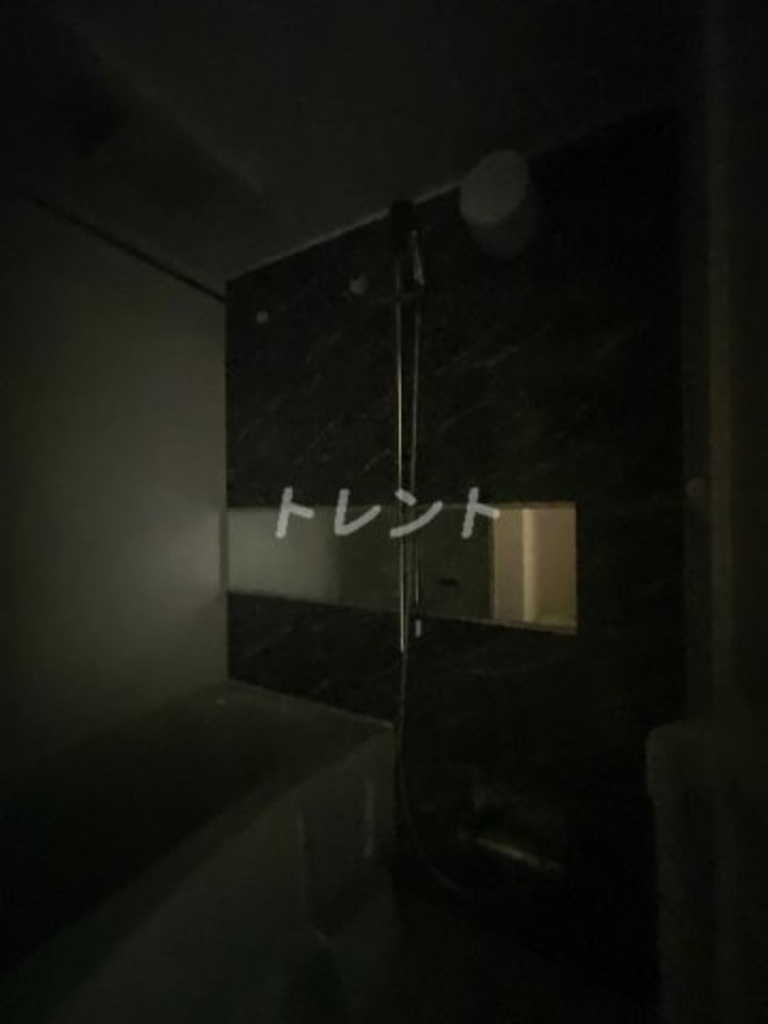 feliceprendre【フェリーチェプランドール】-702