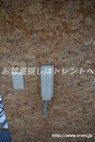 クオリアセカンド【Quaria2nd】-201