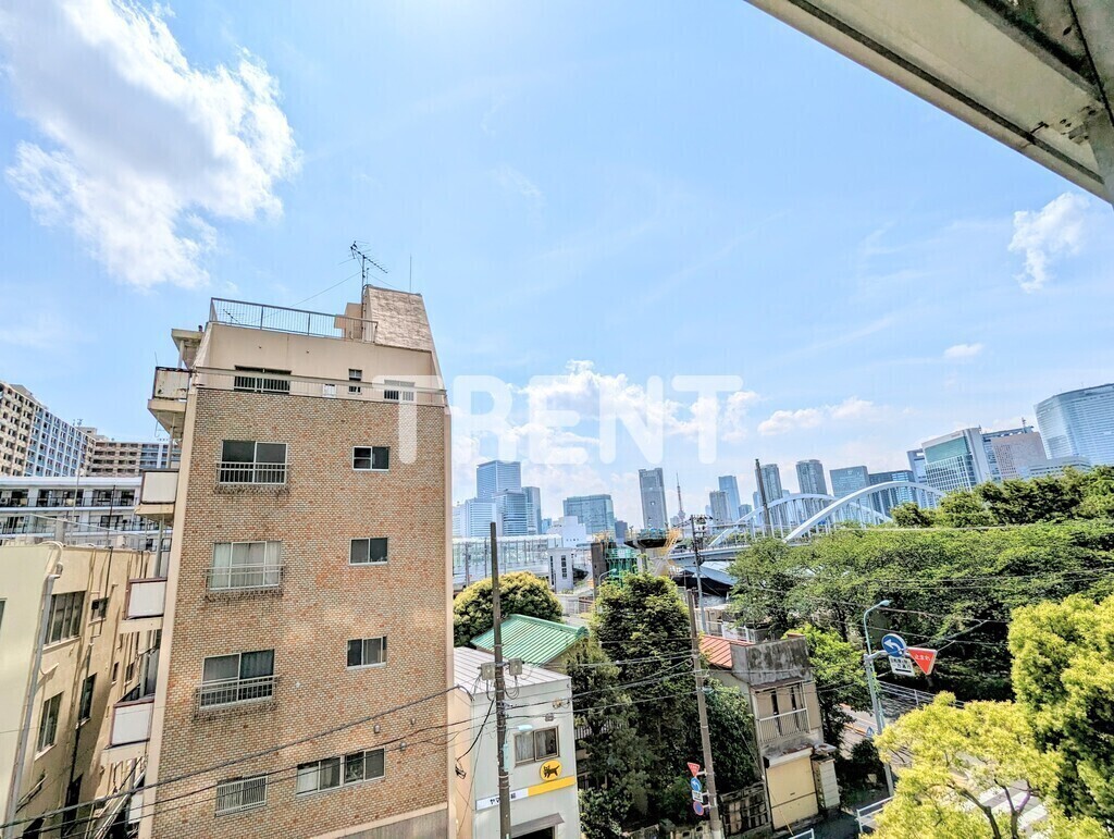 グリーンホームズ2-1306