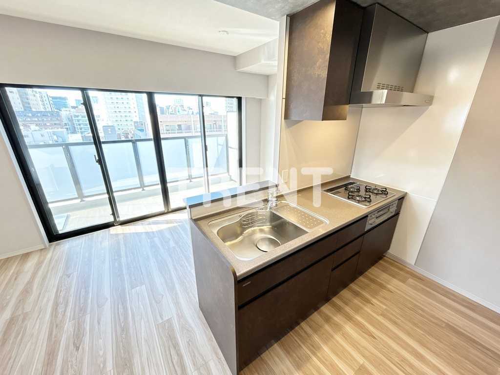 ヴィークブライト湯島-903