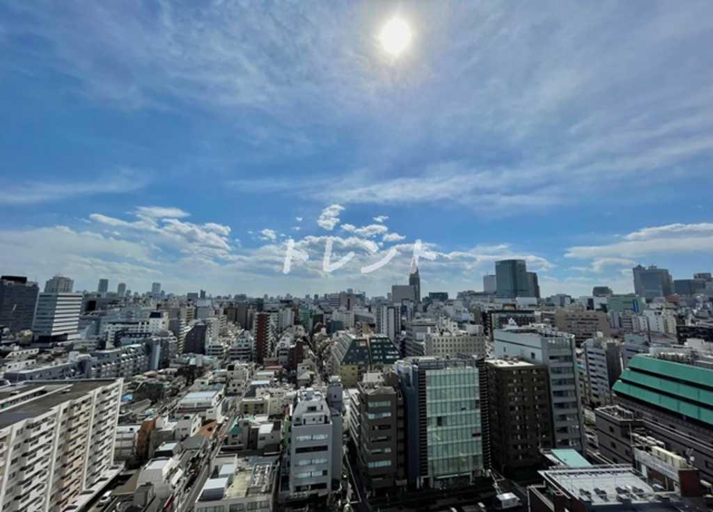 コンフォリア新宿イーストサイドタワー-914