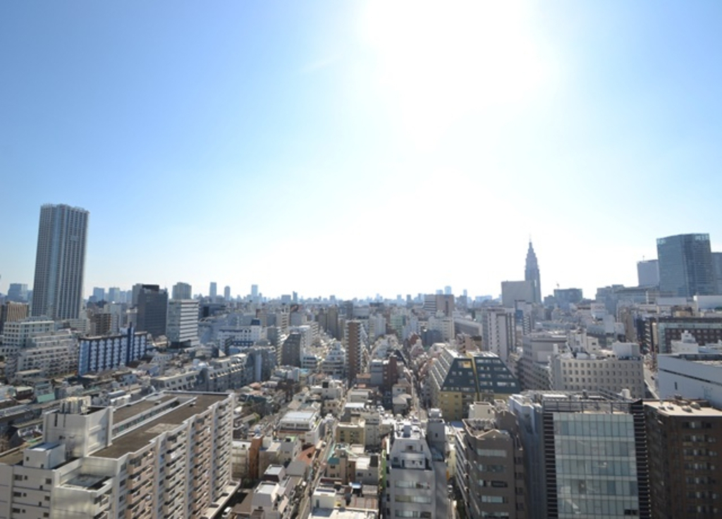 コンフォリア新宿イーストサイドタワー-1128