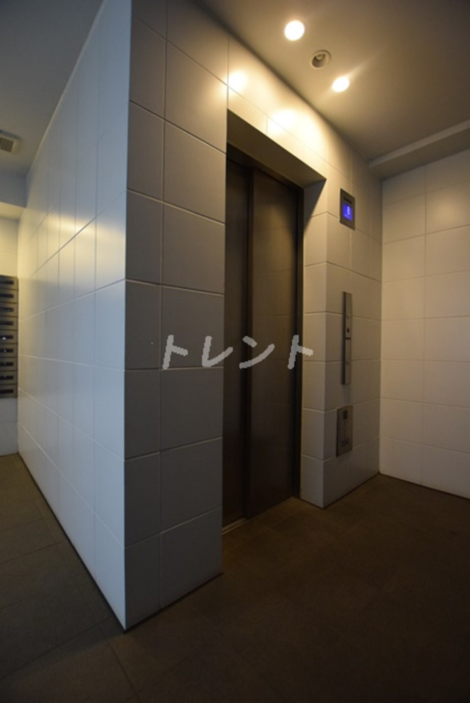 フリージアテラス-1003