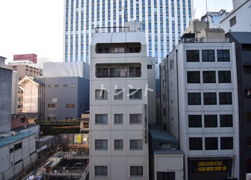 ミレアコート銀座プレミア-605