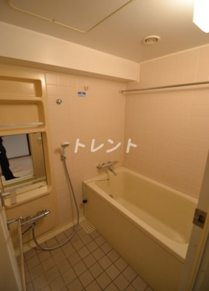 藤和シティホームズ新宿余丁町-207